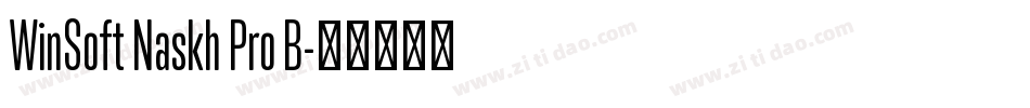 WinSoft Naskh Pro B字体转换